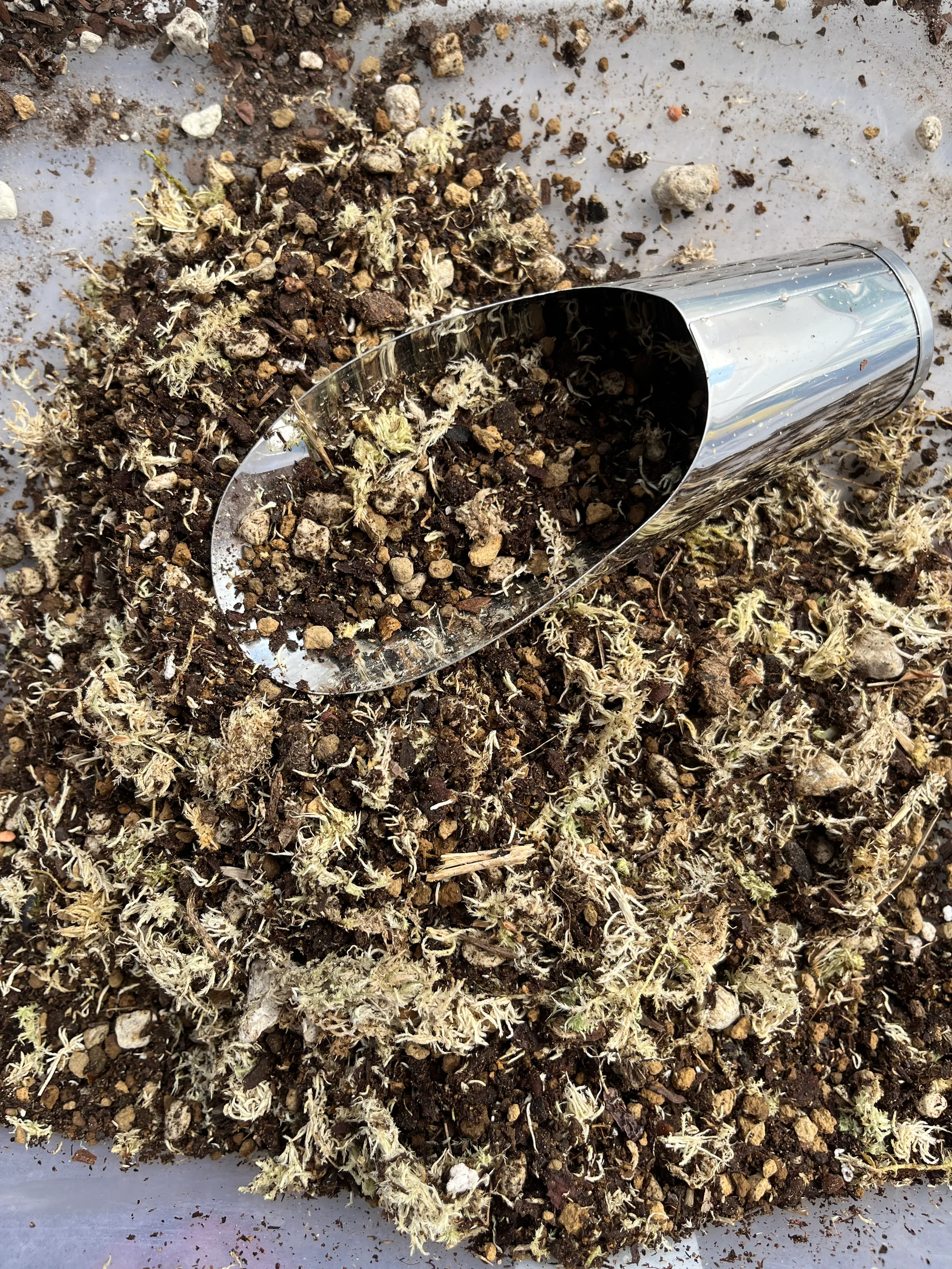 A metal scoop resting in a tub of chunky bonsai soil mixed with pale dried moss and gravel, seen from above.